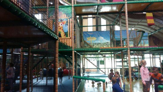 Wędrówki i Joga w Parkach